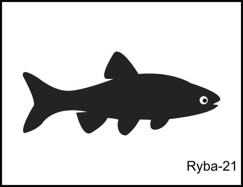 ryba 21